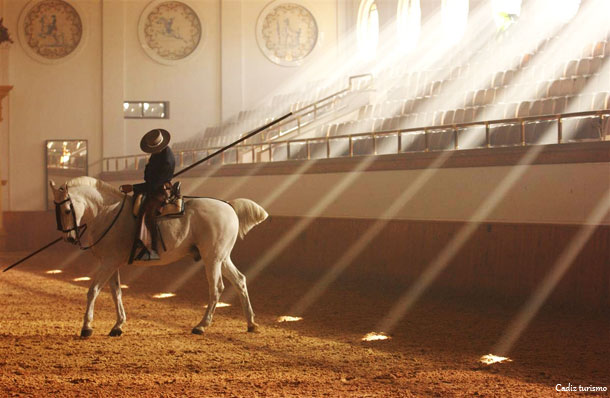 cheval-ecole-royal-art-equestre-jerez-frontera-andalousie