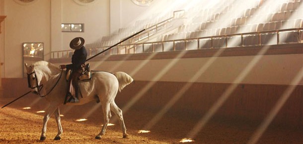 Le ballet des chevaux de Jerez