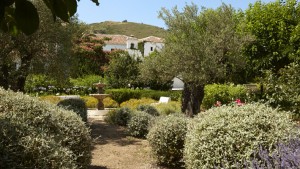 Molino del Arco - Ronda, Malaga