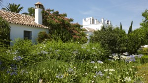 Molino del Arco - Ronda, Malaga
