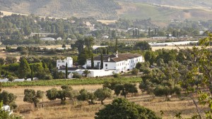 Molino del Arco - Ronda, Malaga