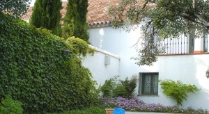 Molino del Arco - Ronda, Malaga