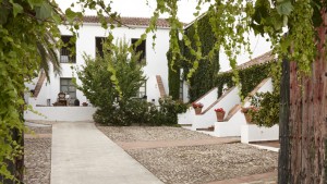 Molino del Arco - Ronda, Malaga